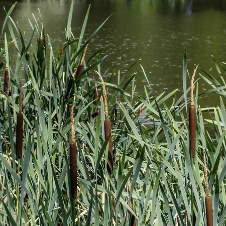 Palac Pod Kampinosem - Blisko Warszawy Feriested Leszno (Masovia)